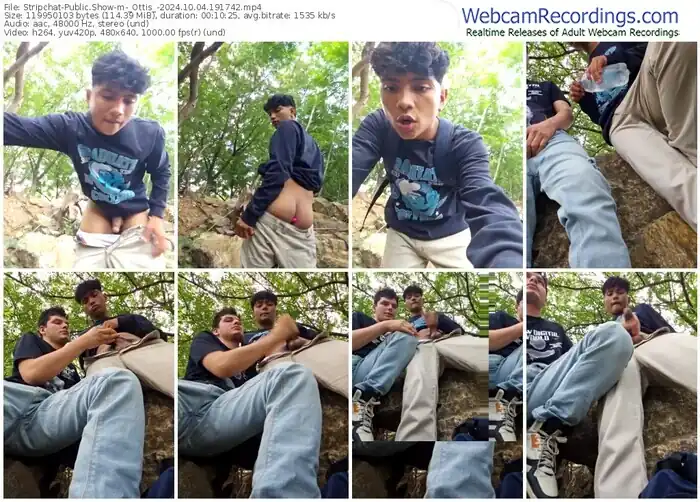 2024/10/04/stripchat-_ottis_-19-17-42