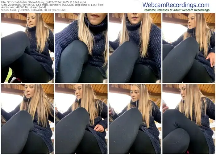 2024/10/05/stripchat-risky_girl23-11-38-42