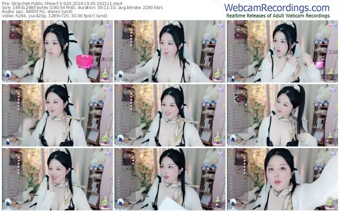 2024/10/05/stripchat-s-520-15-21-11