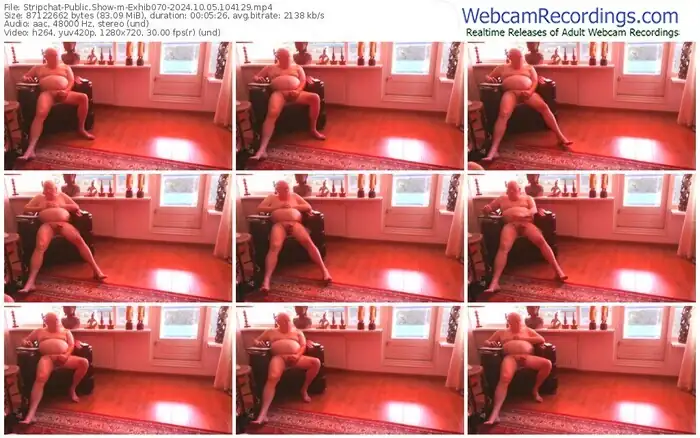 2024/10/05/stripchat-exhib070-10-41-29