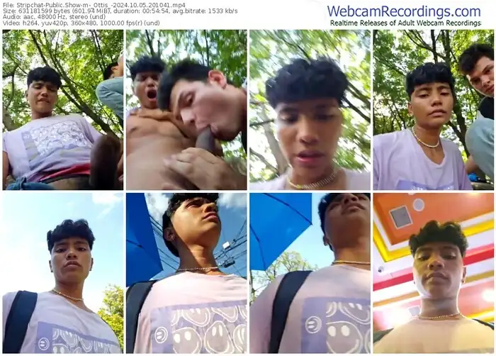 2024/10/05/stripchat-_ottis_-20-10-41