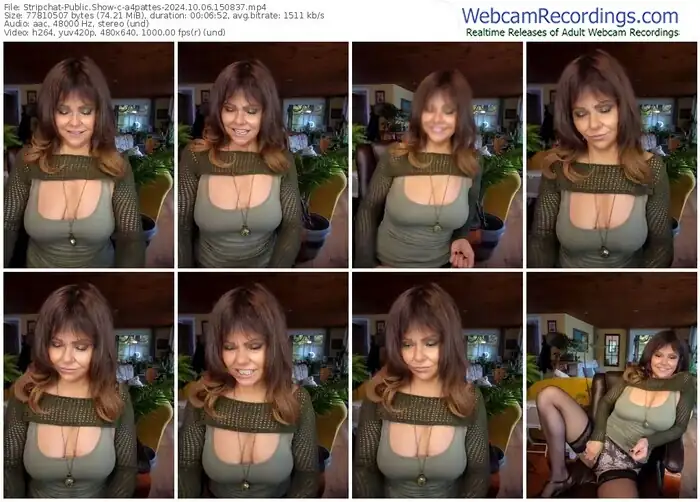 2024/10/06/stripchat-a4pattes-15-08-37