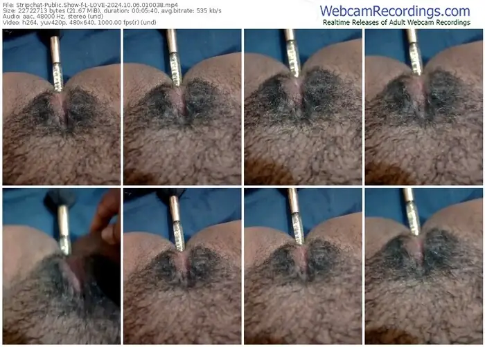 2024/10/06/stripchat-l-love-01-00-38