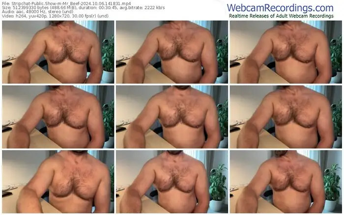 2024/10/06/stripchat-mr_beef-14-18-31