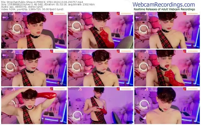 2024/10/06/stripchat-prince_stev-23-07-57