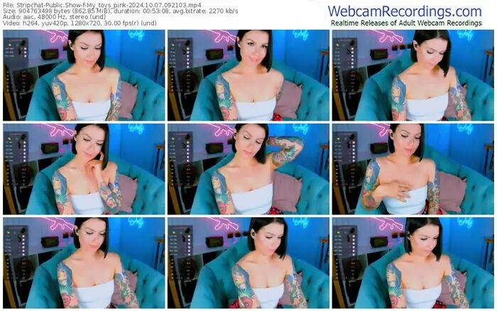 2024/10/07/stripchat-my_toys_pink-09-21-03