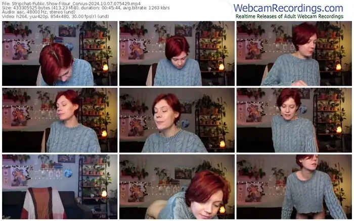 2024/10/07/stripchat-your_corvus-07-54-29