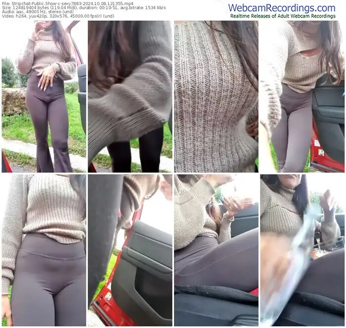 2024/10/08/stripchat-sexy7883-12-13-55