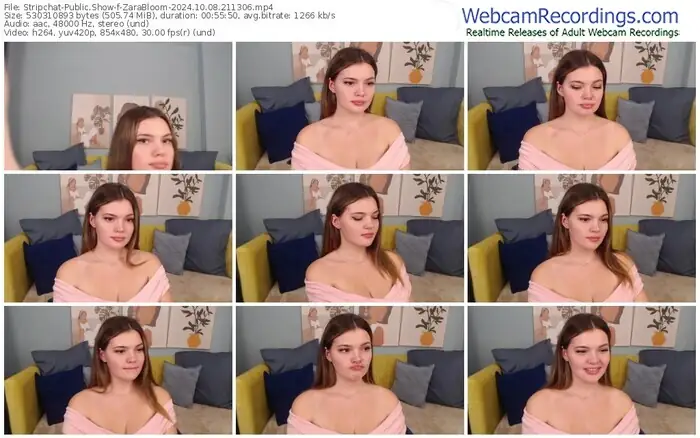 2024/10/08/stripchat-zarabloom-21-13-06