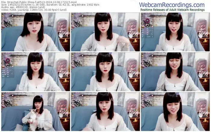 2024/10/08/stripchat-a0513-17-21-15