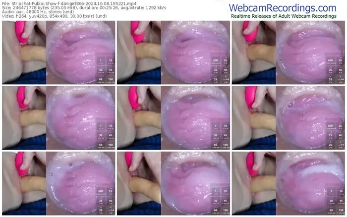 2024/10/08/stripchat-danigirl866-19-52-21