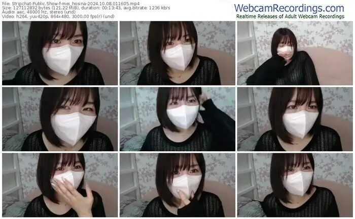 2024/10/08/stripchat-mei_hosina-01-16-05