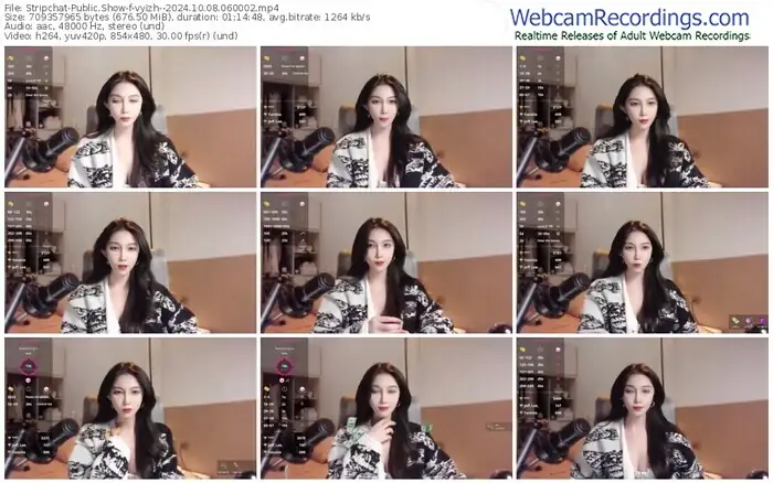 2024/10/08/stripchat-vyizh--06-00-02