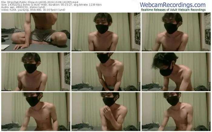 2024/10/08/stripchat-uki06-14-19-55