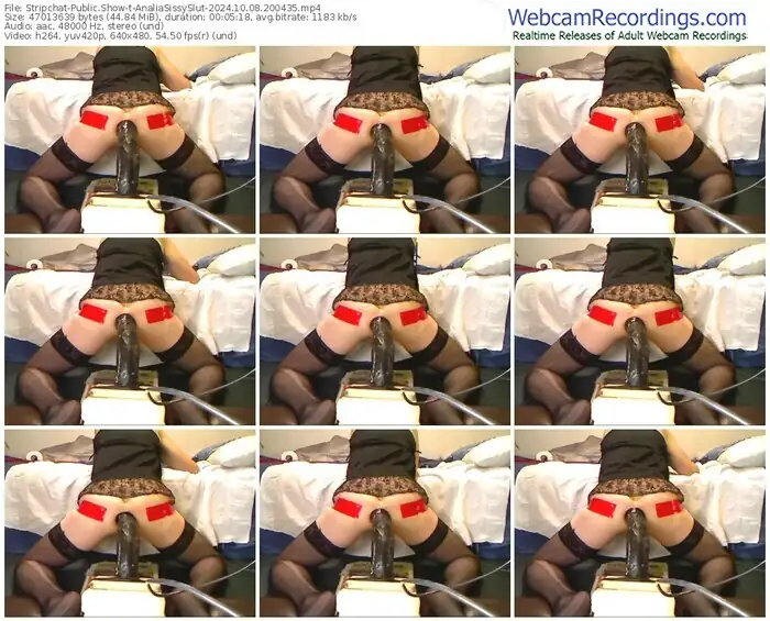 2024/10/08/stripchat-analiasissyslut-20-04-35
