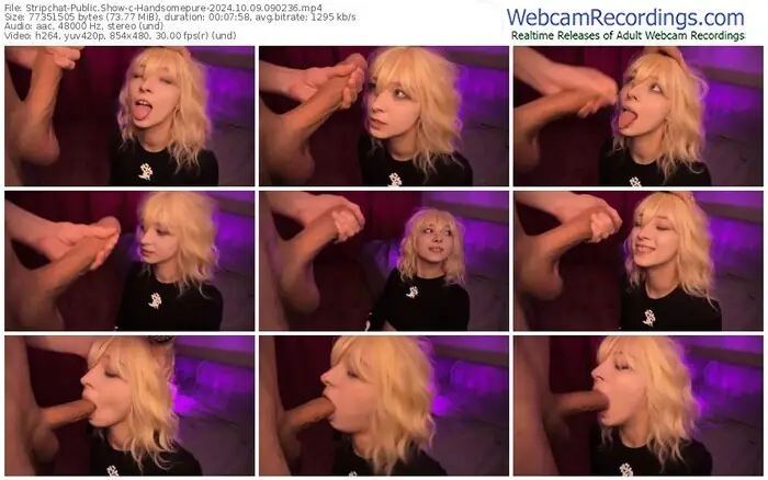 2024/10/09/stripchat-handsomepure-09-02-36