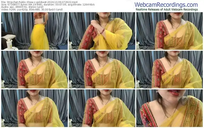 2024/10/09/stripchat-goldiwet-07-29-22