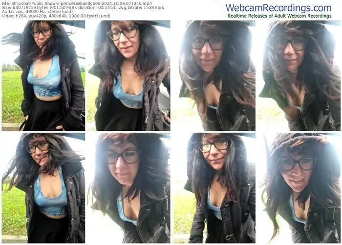2024/10/09/stripchat-princessekandy666-07-13-46
