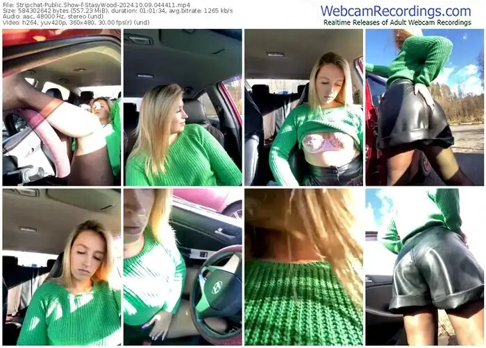 2024/10/09/stripchat-stasywood-04-44-11