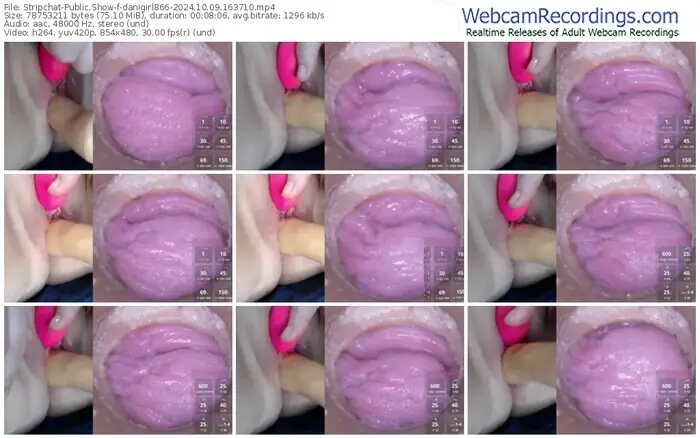 2024/10/09/stripchat-danigirl866-16-37-10