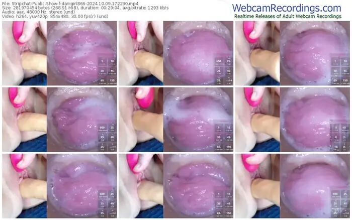 2024/10/09/stripchat-danigirl866-17-22-30