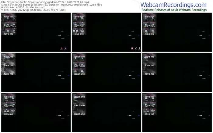 2024/10/09/stripchat-ebonnyygoddes-22-51-16