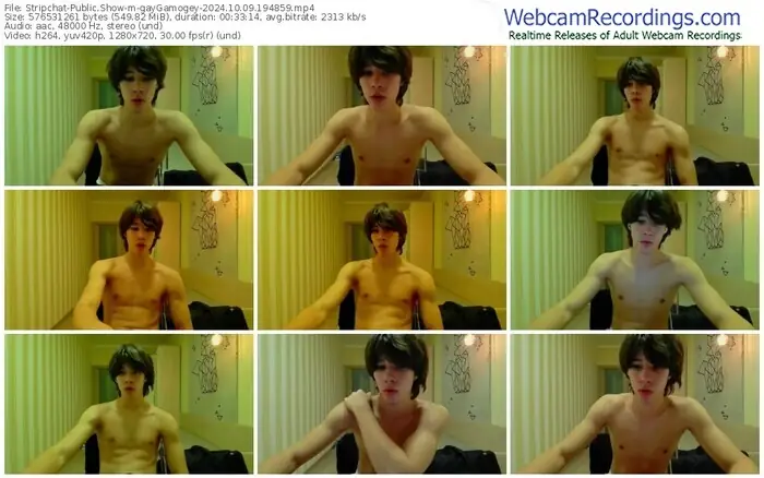 2024/10/09/stripchat-gaygamogey-19-48-59