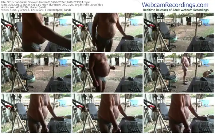 2024/10/09/stripchat-herbie010666-07-45-34