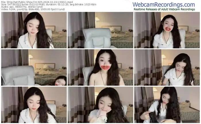 2024/10/10/stripchat-h-925-13-04-11