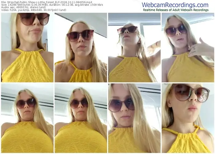 2024/10/11/stripchat-little_forest_elf-08-43-56