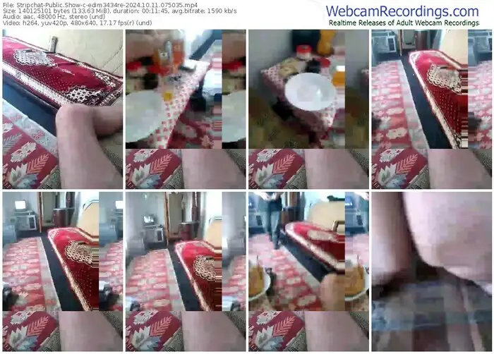 2024/10/11/stripchat-edim3434re-07-50-35