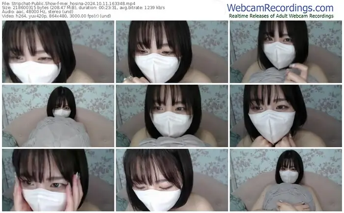 2024/10/11/stripchat-mei_hosina-16-33-48