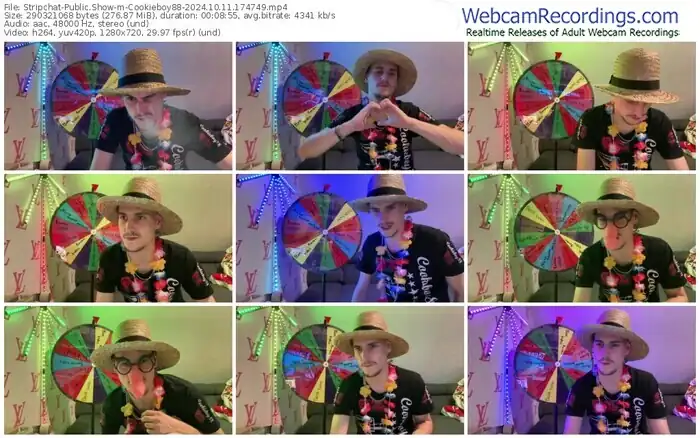 2024/10/11/stripchat-cookieboy88-17-47-49