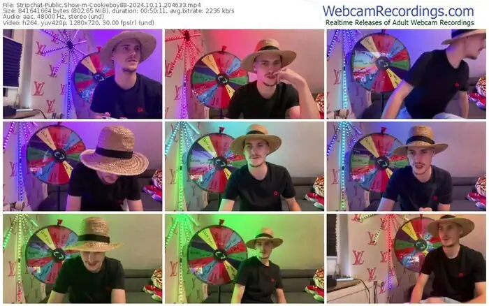 2024/10/11/stripchat-cookieboy88-20-46-33