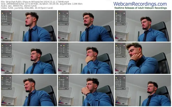 2024/10/11/stripchat-wilsonjules-17-38-48