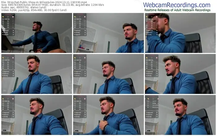 2024/10/11/stripchat-wilsonjules-19-03-30