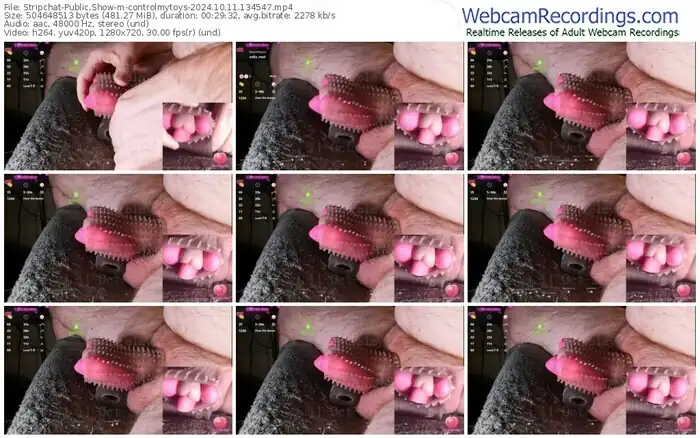 2024/10/11/stripchat-controlmytoys-13-45-47