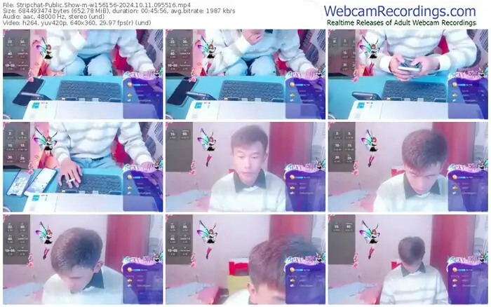 2024/10/11/stripchat-w156156-09-55-16