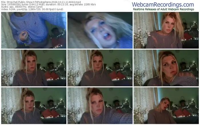 2024/10/11/stripchat-tspostophere-11-44-44