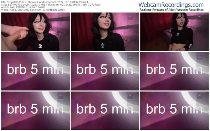 2024/10/12/stripchat-handsomepure-01-34-23