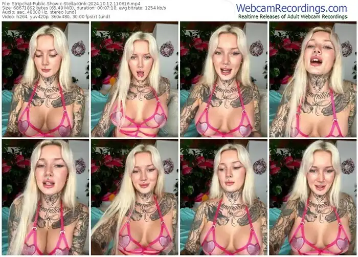 2024/10/12/stripchat-stella-kink-11-06-16