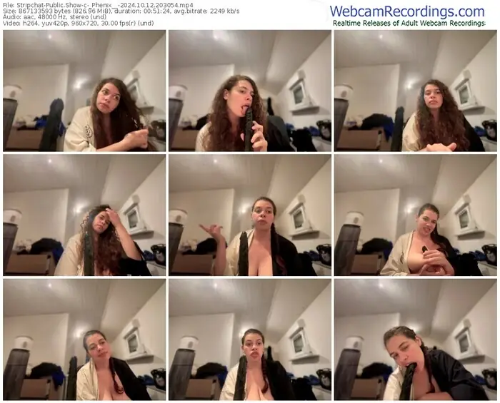 2024/10/12/stripchat-_phenix__-20-30-54