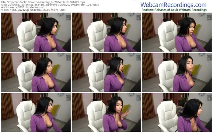 2024/10/12/stripchat-secretary_bj-00-46-25