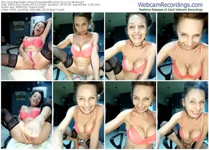 2024/10/12/stripchat-frozenwaffle-21-36-48