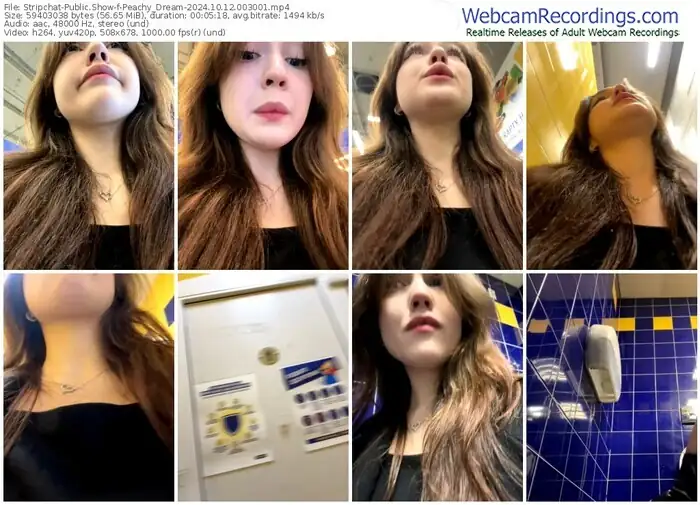 2024/10/12/stripchat-peachy_dream-00-30-01