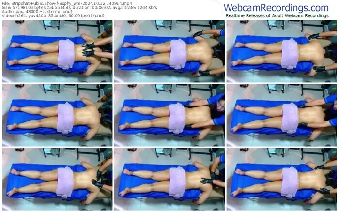 2024/10/12/stripchat-sophy_wm-14-09-14