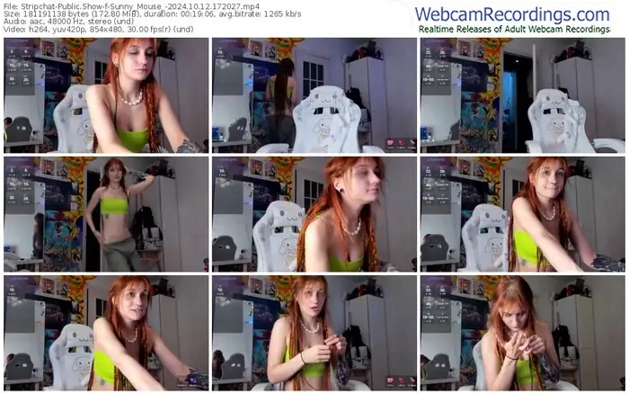 2024/10/12/stripchat-sunny_mouse_-17-20-27