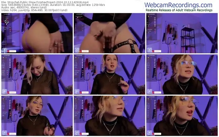 2024/10/12/stripchat-vortexproject-14-29-18