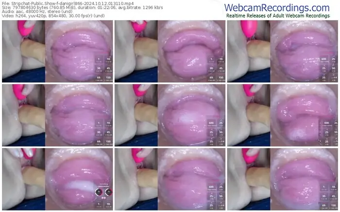 2024/10/12/stripchat-danigirl866-01-31-10