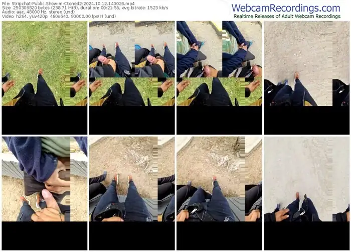 2024/10/12/stripchat-ctoned2-14-00-26